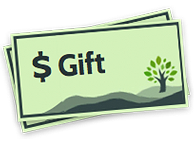 Buy Gift Voucher Online Now